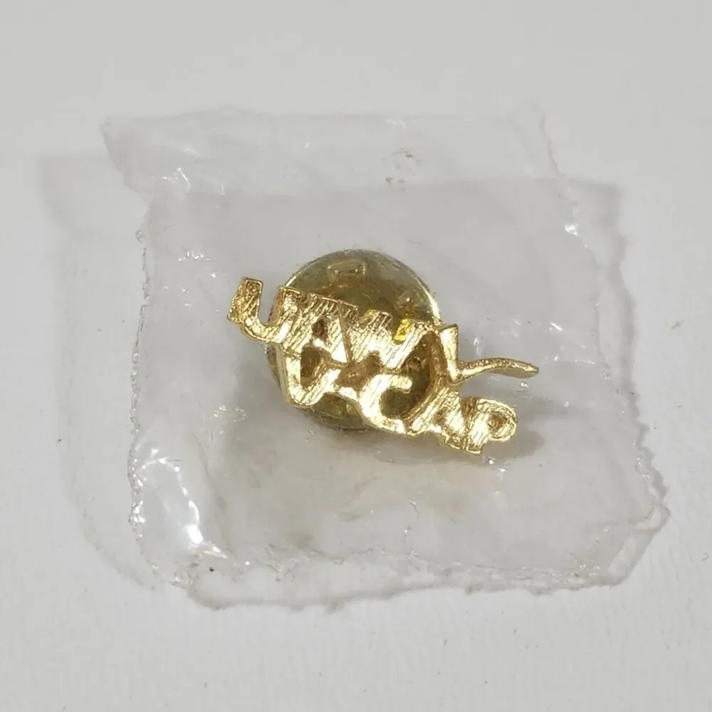 United Auto Workers UAW V Cap Pin Hat Tie Lapel Pinback Trade Union New Sealed